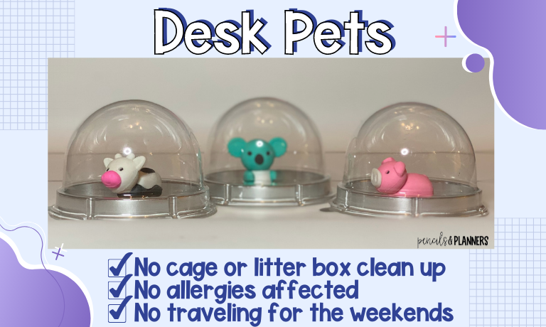 alt text -  what is a desk pet picture of 3 desk pets in their clear storage domed homes a pig koala and cow text says desk pets no cage or litter box clean up no allergies affected and no traveling for the weekends