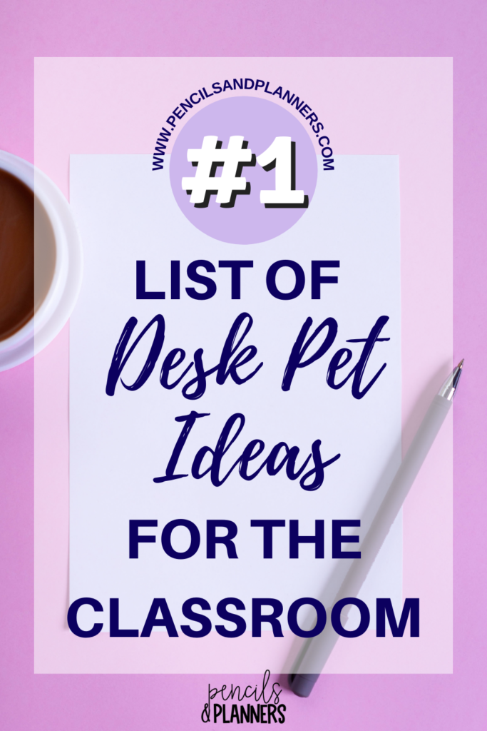 background of pink desk flatlay with a cup of coffee text says #1 list of desk pet ideas for the classroom